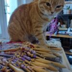attrape reve chat